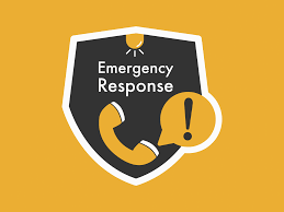  CCSD Parent Emergency Guide Image