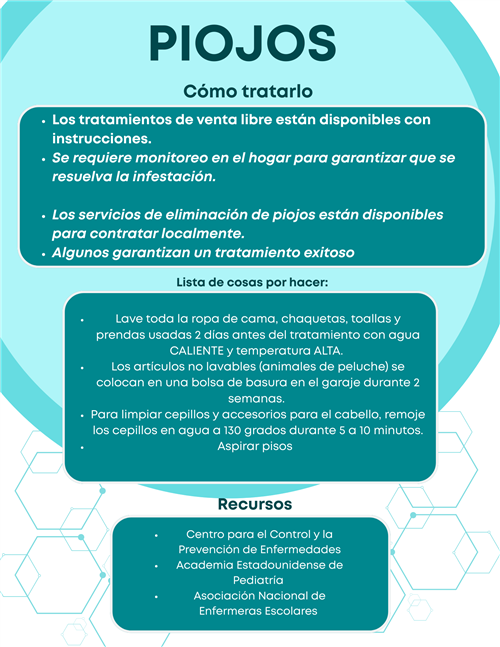 Lice 2 - Span